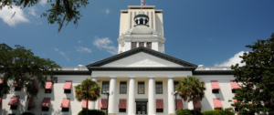 top Tallahassee criminal appeal lawyers