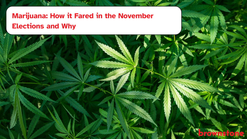Marijuana_ How it Fared in the November Elections and Why