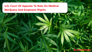 U.S. Court Of Appeals To Rule On Medical Marijuana And Employee Rights