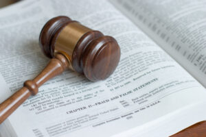 appellate-attorney federal crime appeals