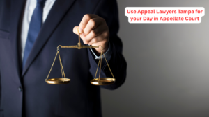 https___www.brownstonelaw.com_blog_appeal-lawyers-tampa https___www.brownstonelaw.com_blog_appeal-lawyers-tampa