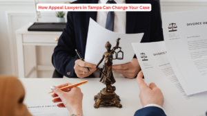 https___www.brownstonelaw.com_blog_how-appeal-lawyers-in-tampa-can-change-your-case