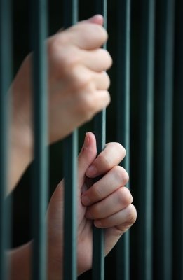 Criminal Appeal Lawyers Florida