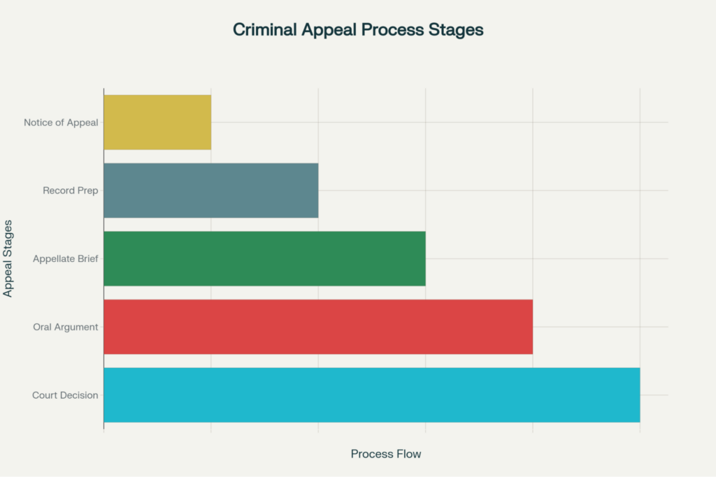 Criminal Appeal Process Stages How To Win A Criminal Appeal