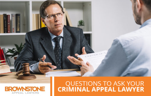 Top 25 Questions to Ask Your Criminal Appeal Lawyer