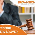 4 Qualities to Look for in a Federal Appeal Lawyer