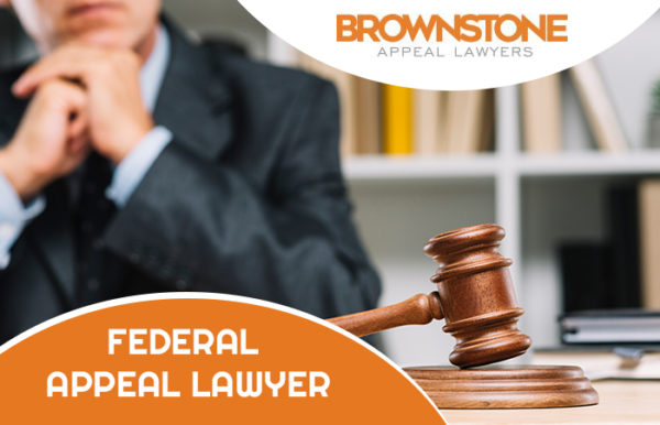 4 Qualities to Look for in a Federal Appeal Lawyer