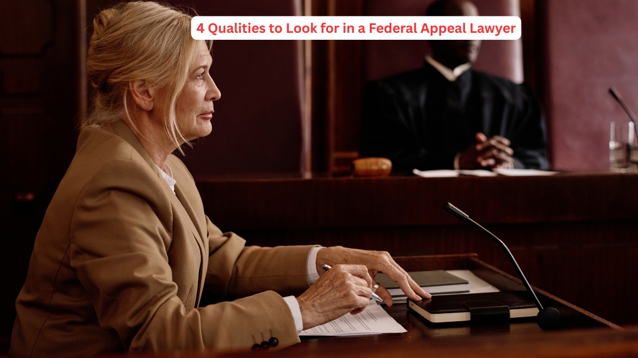 https___www.brownstonelaw.com_blog_4-qualities-to-look-for-in-a-federal-appeal-lawyer