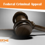 federal criminal appeal