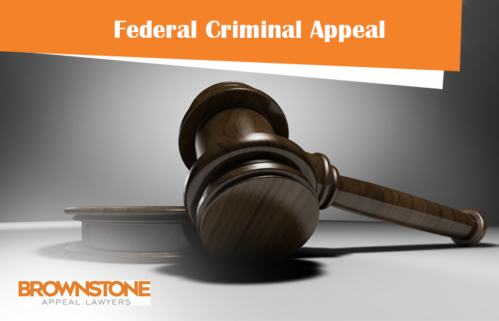 federal criminal appeal