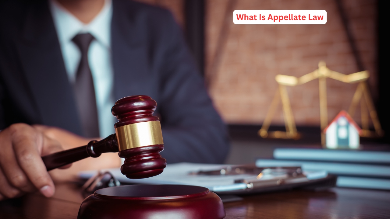 https___www.brownstonelaw.com_blog_what-is-appellate-law