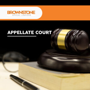 3 Things to Expect in an Appellate Court 3 Things to Expect in an Appellate Court