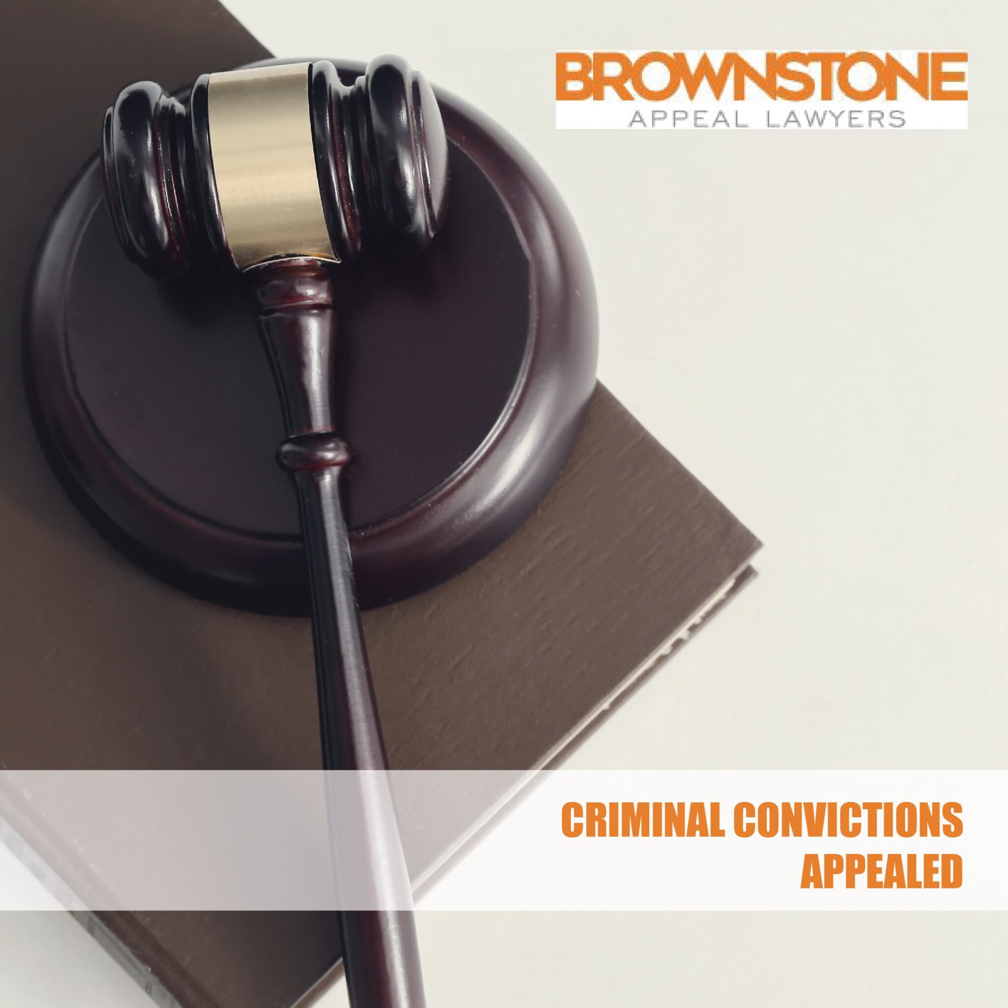 On What Grounds Are Criminal Convictions Appealed?