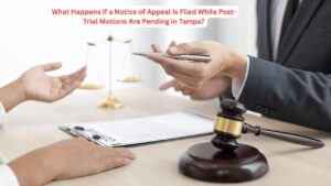 Notice of Appeal Is Filed