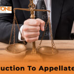 appellate lawyers in Florida