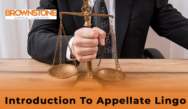 appellate lawyers in Florida