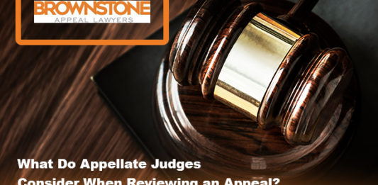 What Do Appellate Judges Consider When Reviewing an Appeal