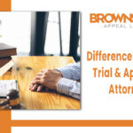 Appellate Attorneys In Florida