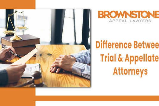 What’s the Difference Between Trial & Appellate Attorneys in Florida?