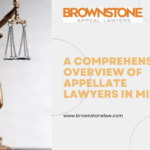 A Comprehensive Overview of Appellate Lawyers in Miami