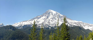 Federal Appeal Lawyers in Seattle Washington