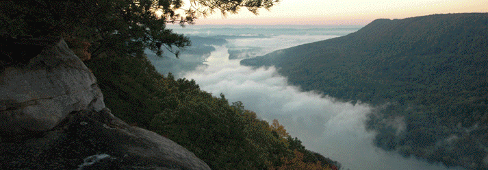 Appeals Lawyers in Chattanooga