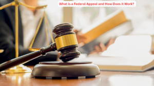 What-is-a-federal-appeal-and-how-does-it-work