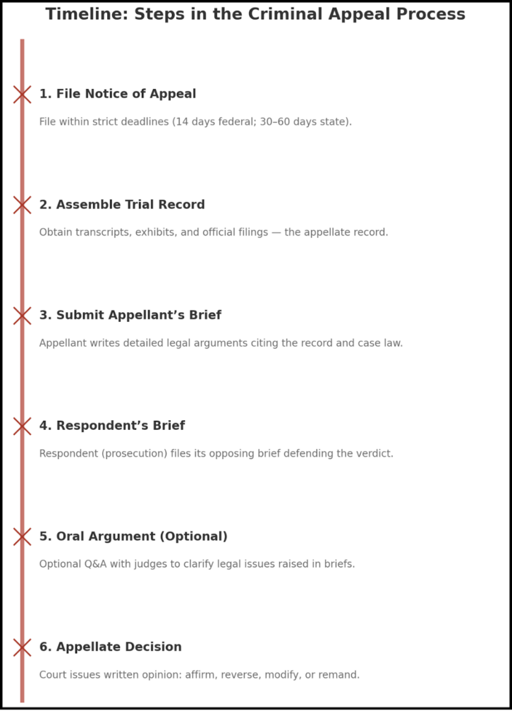 Appeal Process Explained: Steps, Deadlines, and Outcomes