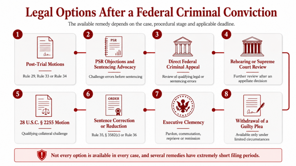 Legal options after a federal criminal conviction